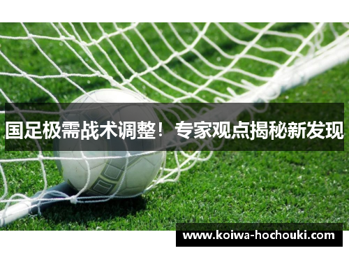 国足极需战术调整！专家观点揭秘新发现